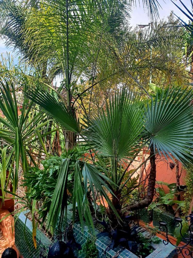 Villa Amira & Spa Marrakesh Bagian luar foto